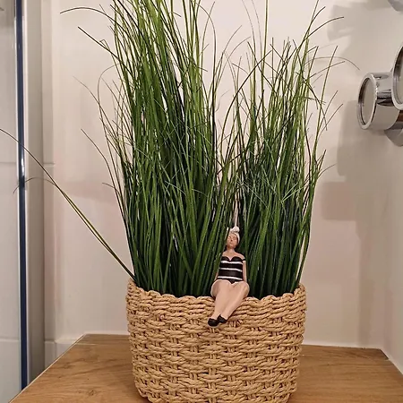 Haus-am-deich-wohnung-01 다메